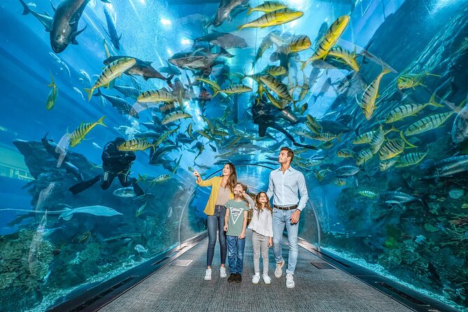 Dubai Aquarium & Underwater Zoo – Dive into an Ocean of Wonders